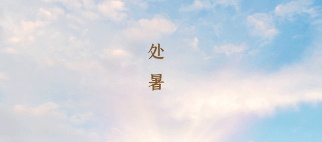 让电于民，无畏“烤”验 ——我们在一起